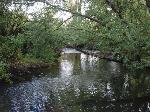 A Photo of the River
