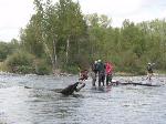 Collecting Samples in the River