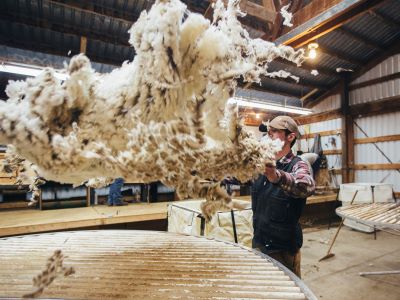 people working with wool