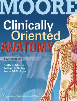 Clinically Oriented Anatomy 7th Edition