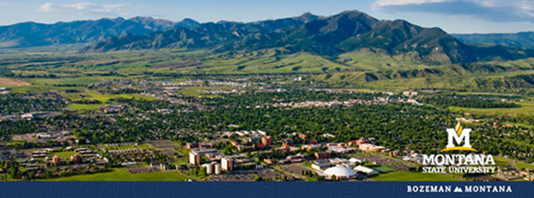 MSU Campus