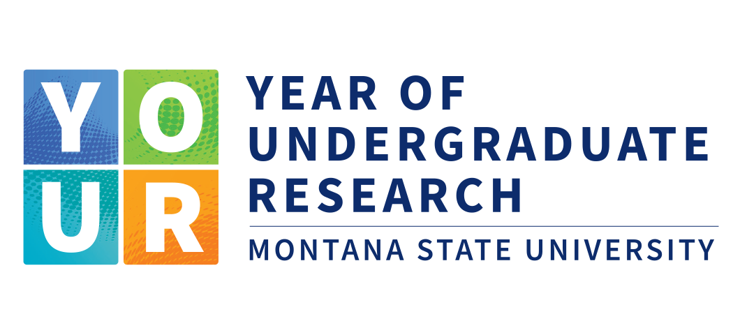 Year of Undergraduate Research logo