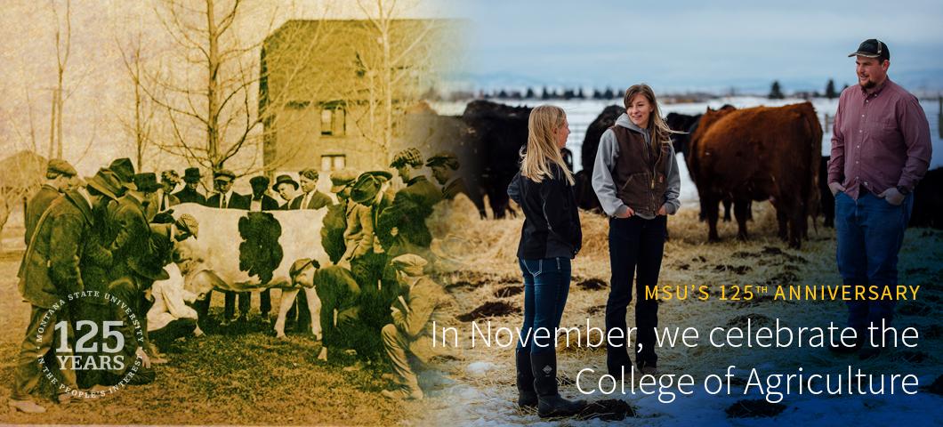 In November, we celebrate the College of Agriculture 