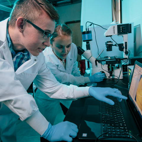 Students research brain cells in the Kunze Lab at Montana State University