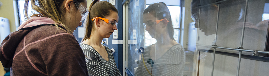 Two female scientists overlook an experiment in a fume hood.