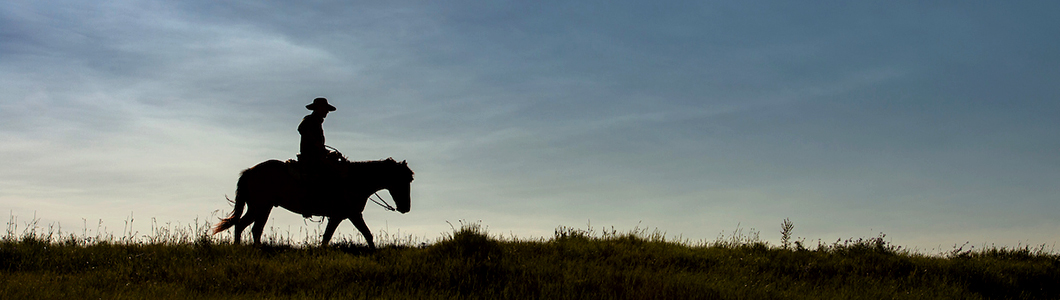 A person wearing a cowboy hat on horseback rides on the plains, silhoutted against the sky at dusk.