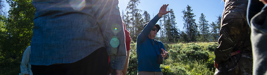 A group of scientists prepare to survey a section of forest.