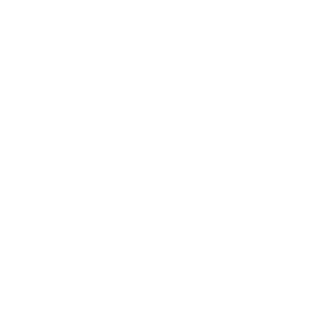 Illustration of a globe in profile.