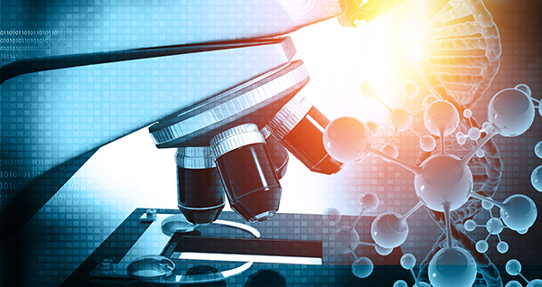 Biomedical Engineering 
