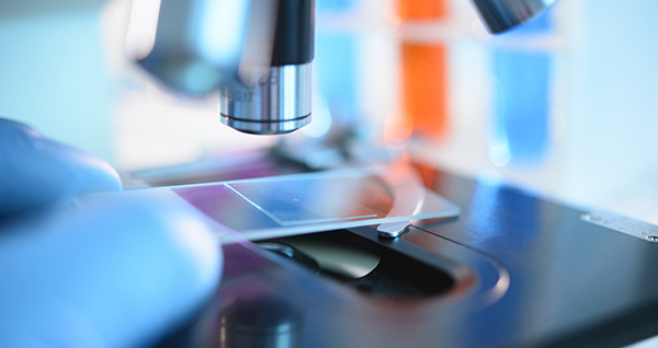 Microbiology–Pre-Veterinary Track