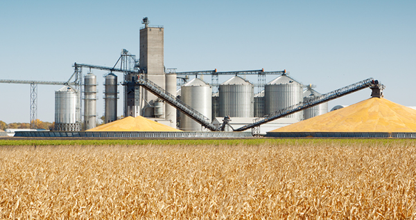 Ag Communications, Leadership and Extension
