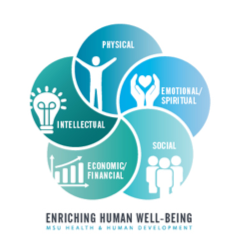 HHD Wellbeing model