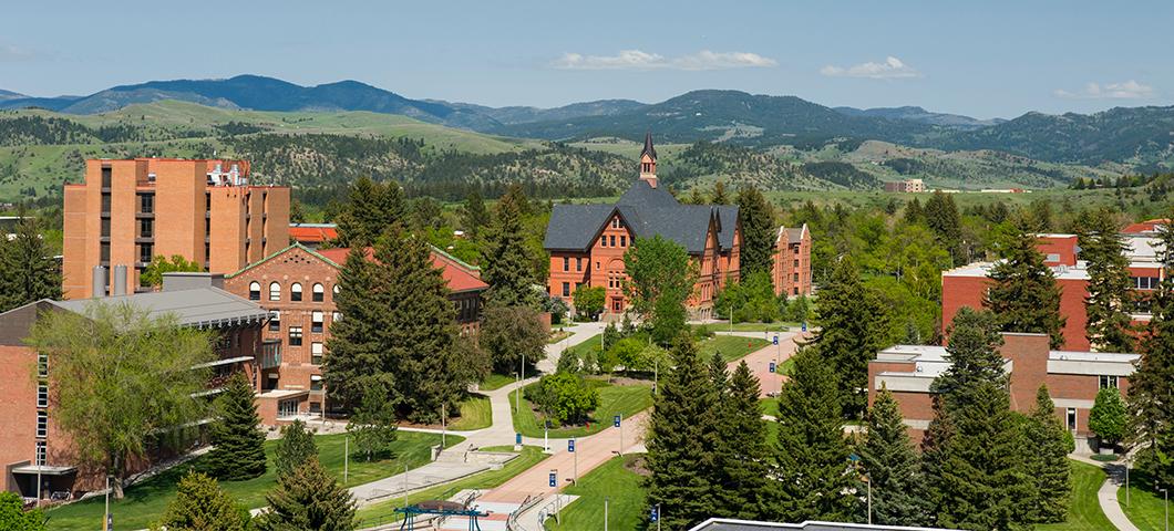 A view of campus on a sunny day.