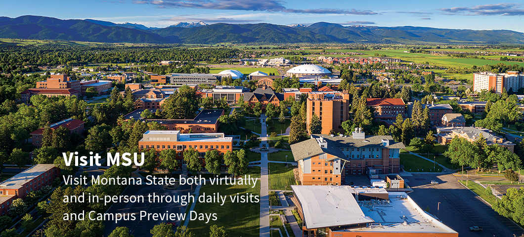 Visit Montana State both virtually and in-person!