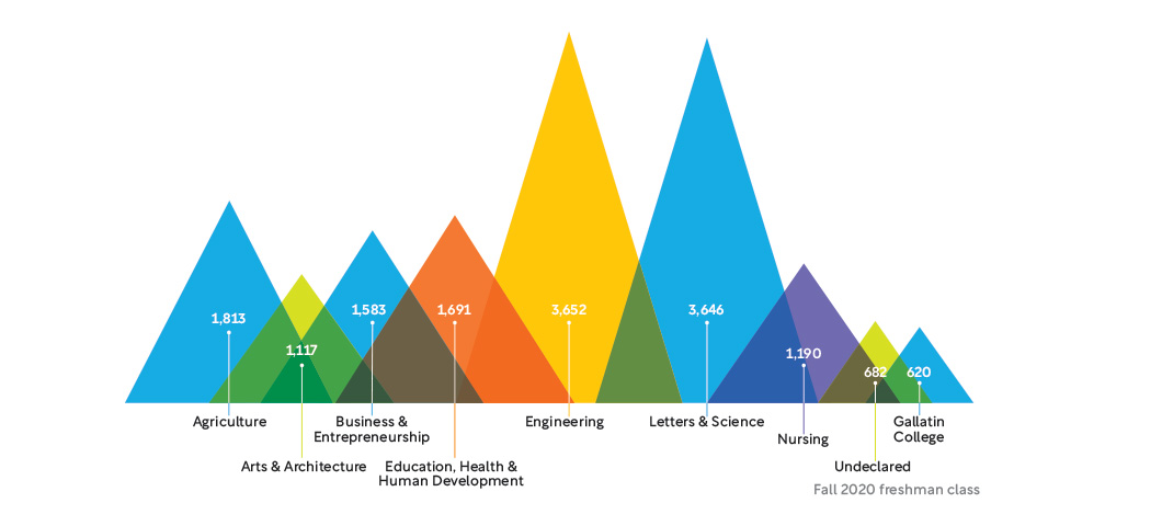 Graphic describing the student population of each MSU college