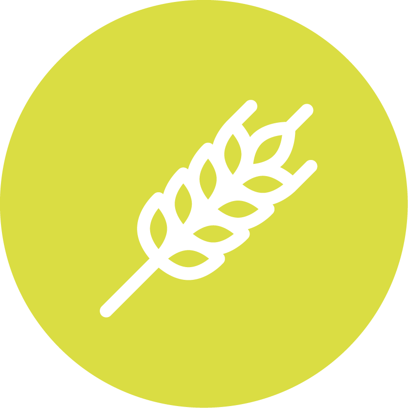 Barley Icon