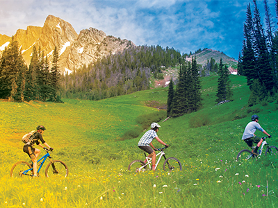Thee mountain bikers cross a meadow.