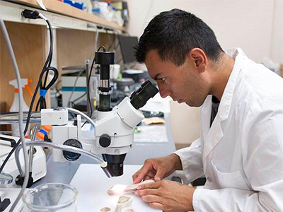 A student works in a lab.