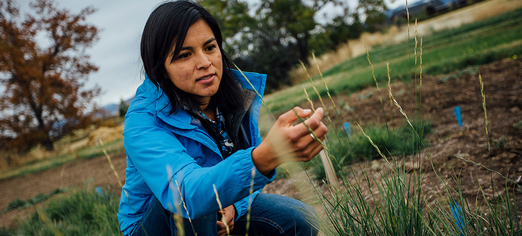 A student studies plants in the field.