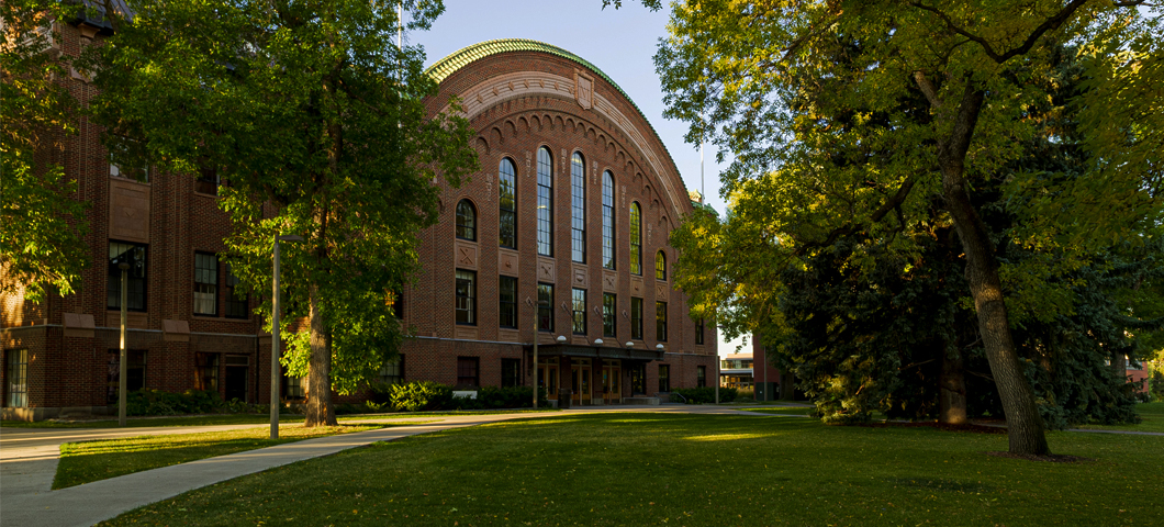 Romney Hall and oval in summer