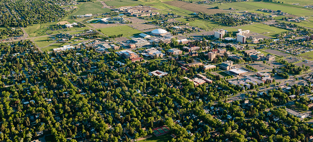 Aerial shot of campus during the summer.