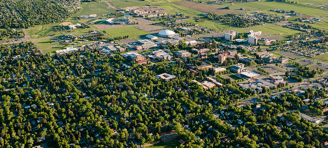 Students sitting in the Romney Oval during the welcome barbeuqe.