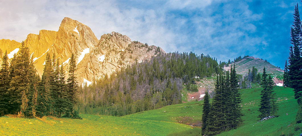 Bridger mountains in summer.