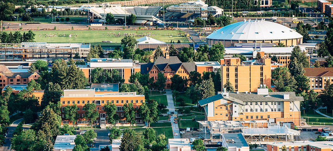 Aerial view of MSU's campus during sunset in summer.