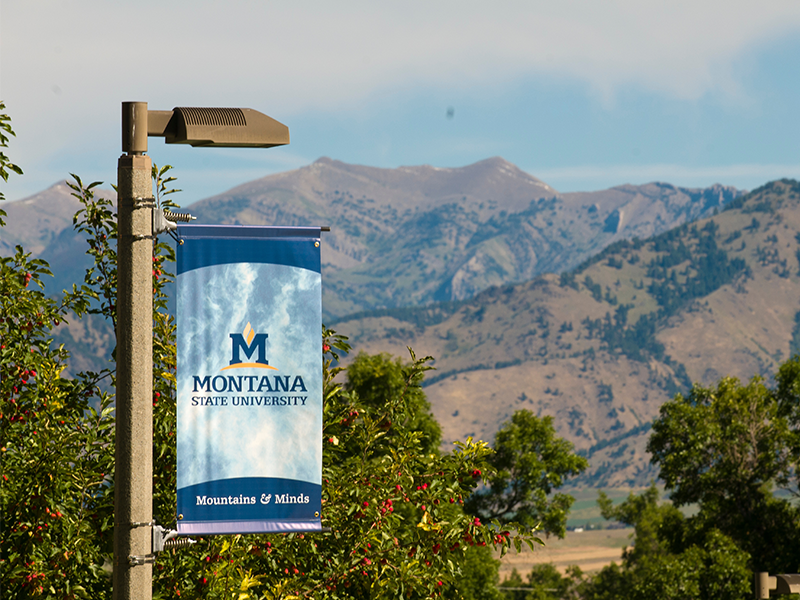 visit montana state university