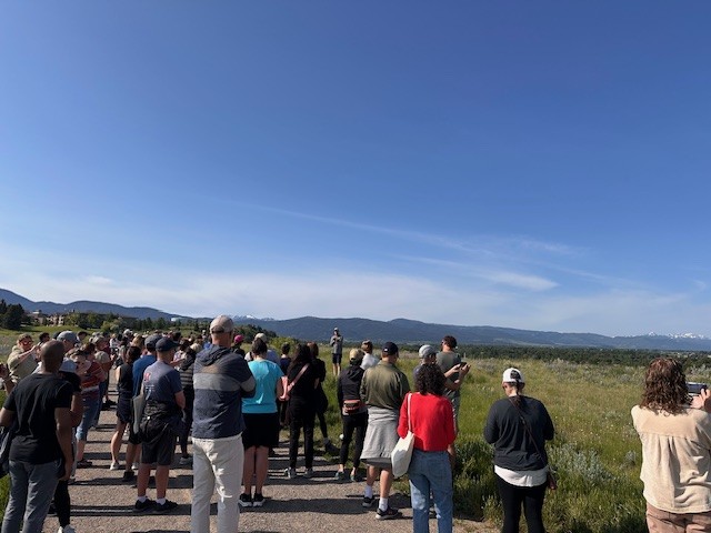 Many people standing outside admiring the scenery