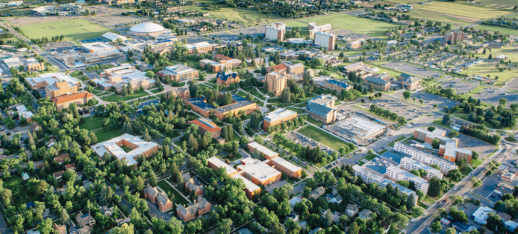 montana state university college tour