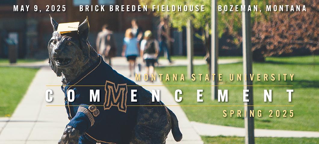 MSU Spirit statue with a gold graduation cap and MSU sweater on. 