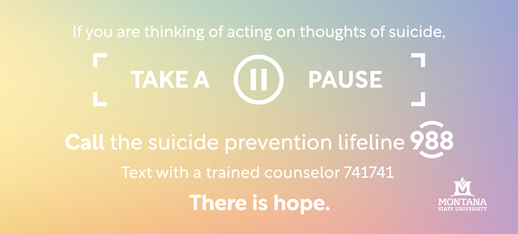 If you are thinking of acting on thoughts of suicide, take a pause. Call the suicide prevention lifeline 988