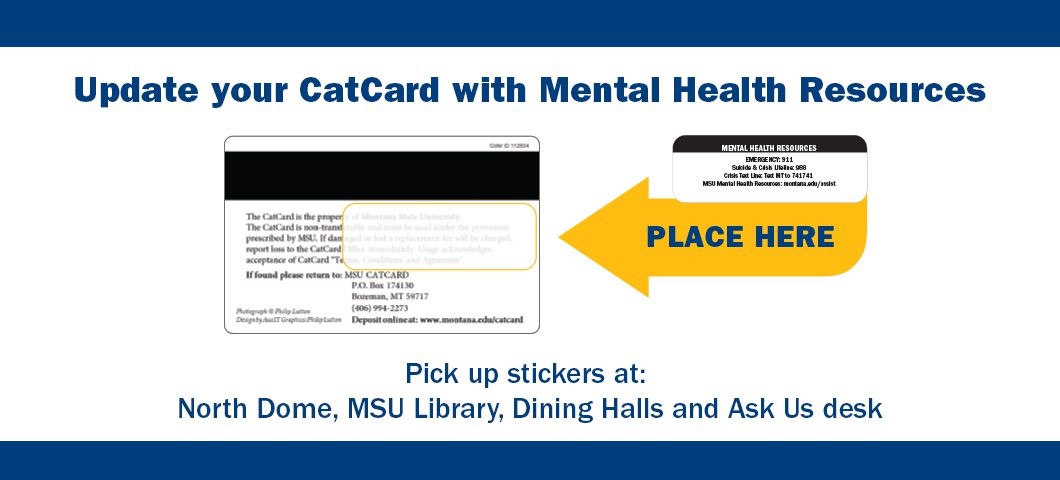 sticker for back of cat cards 