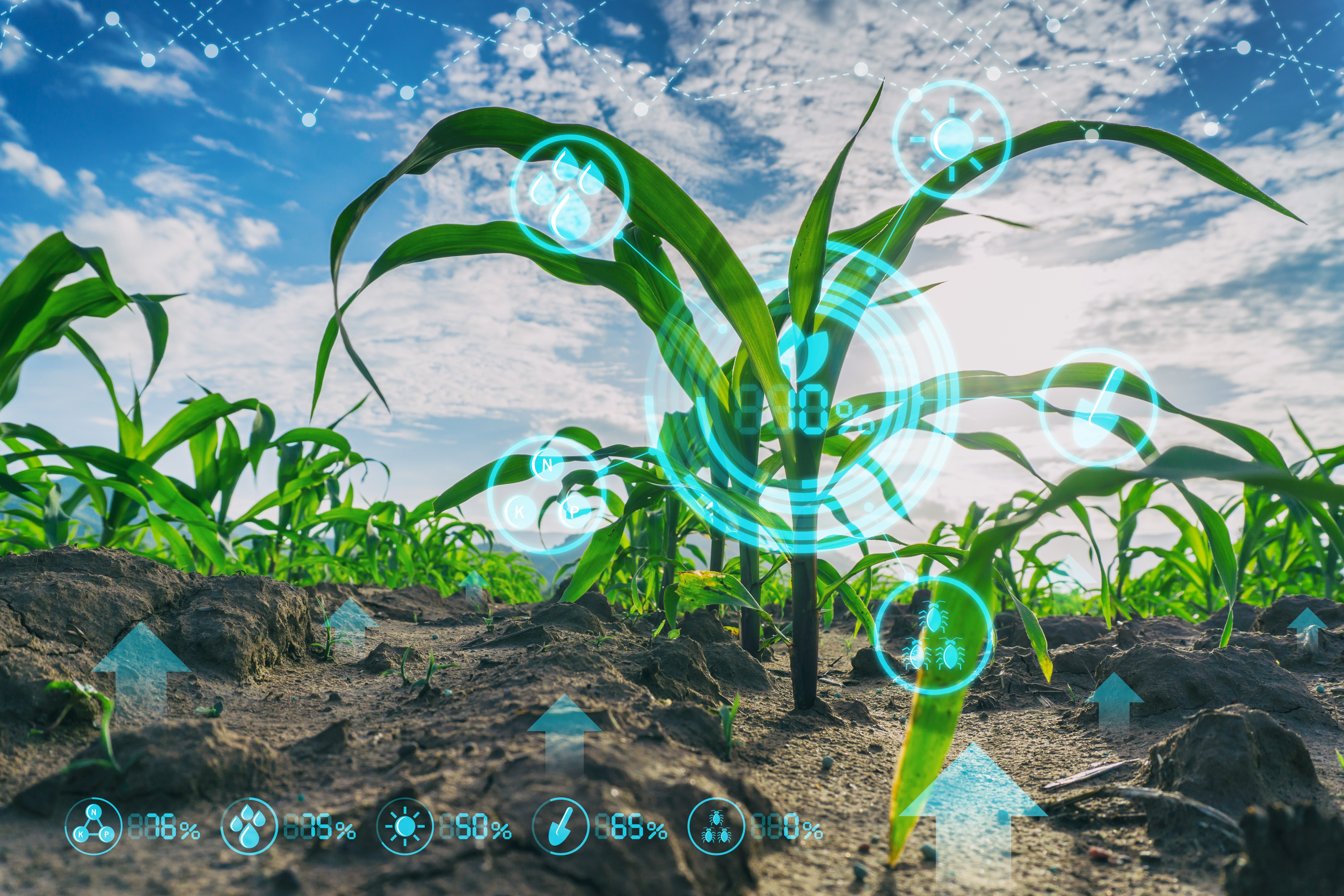 Artificial Intelligience in Agriculture