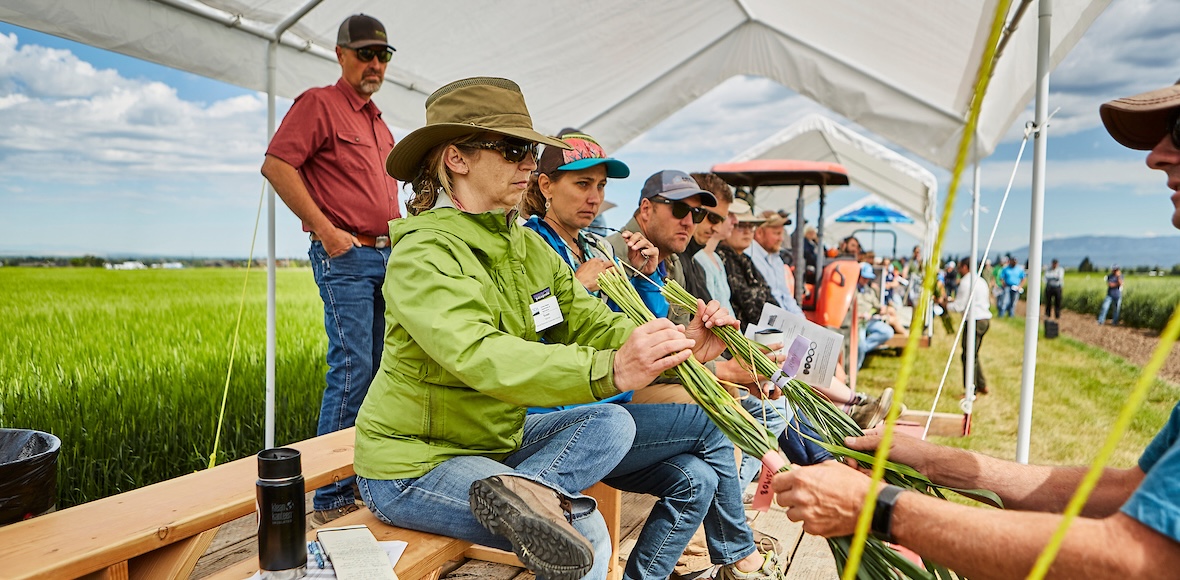 An instructor teaching a group in covered area in a field