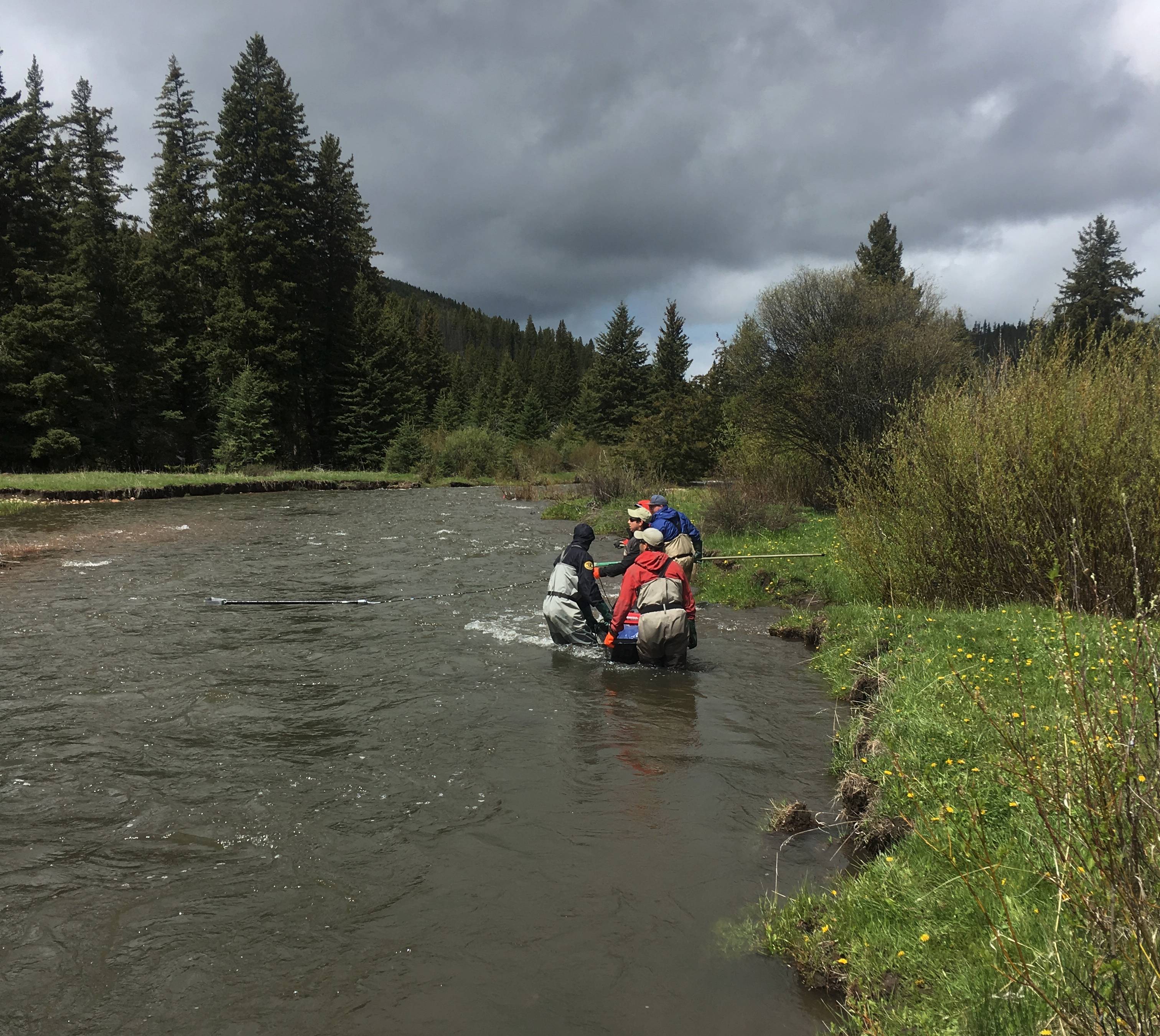 Sheep Creek, MT