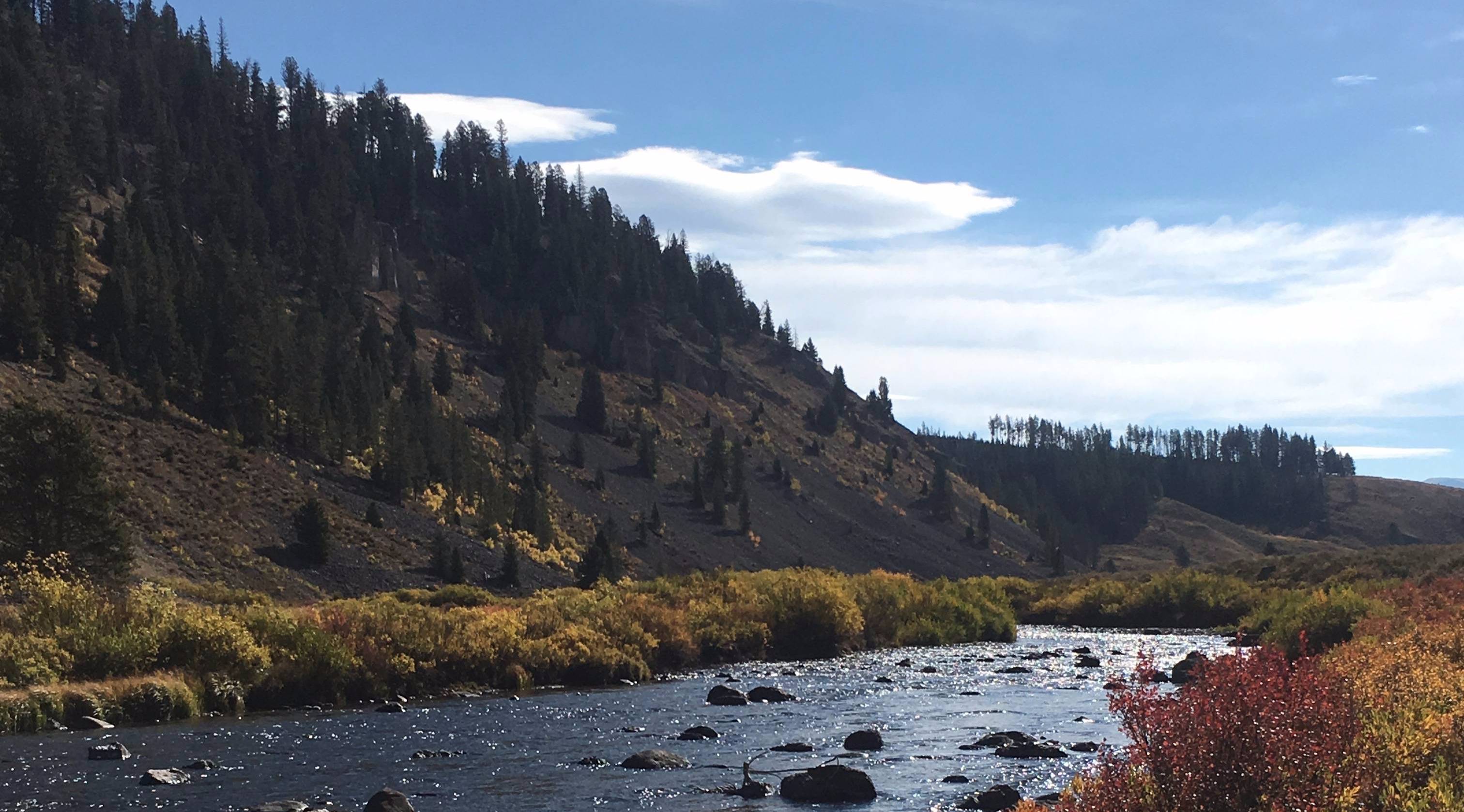 Gallatin River, Montana