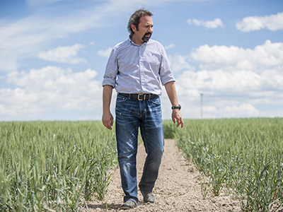 Hikmet Budak walks through a crop