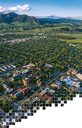 view of Bozeman Montana 