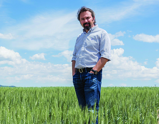 Hikmet Budak, MSU professor and Montana Plant Sciences Endowed Chair in the Department of Plant Sciences and Plant Pathology, recently collaborated with a team of international researchers on sequencing the genome of durum wheat, a staple ingredient in pasta.