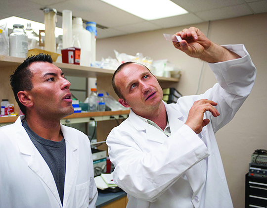 Mechanical and industrial engineering professor Ron June studies a bone sample with anthropology student Michael Ruiz.