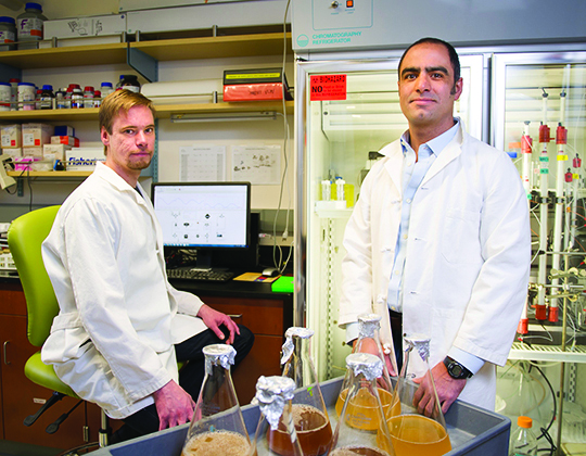 Blake Wiedenheft and graduate student Paul B.G. van Erp joined researchers from Cornell and Johns Hopkins universities to co-author a paper published in the scientific journal Nature.