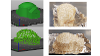 Mycelium Illuminated -Process image 1