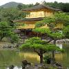 Temple of Golden Pavilion in Japan (Courtesy of Nicholas Evans).