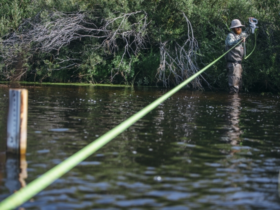 MSU students study Big Hole River watershed to help native fish