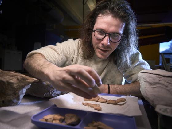 A man wearing glasses and a white wool sweater with the sleeves rolled up to the elbows reaches forward from the left side of the frame to grab a piece of fossil. Hew is illuminated from above by a desk lamp and from the side by a window. A fossil lays on | MSU photo by Colter Peterson