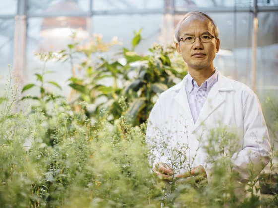 Chaofu Lu Receives Grant from Department of Energy | MSU Photo by Adrian Sanchez-Gonzalez