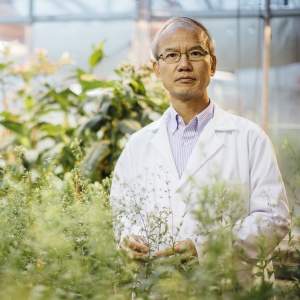Chaofu Lu Receives Grant from Department of Energy