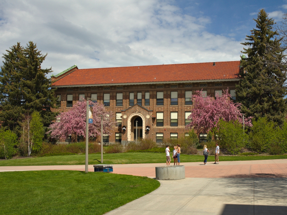 Lewis Hall